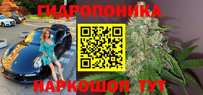 стаф Нарткала