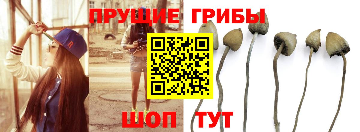 Псилоцибиновые грибы прущие грибы Советск